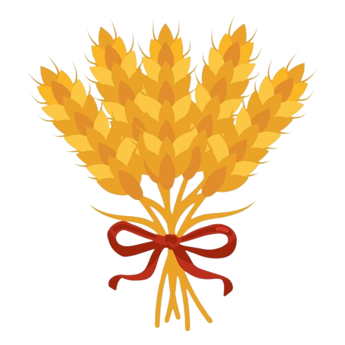 wheat