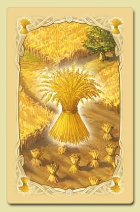 Wheat
