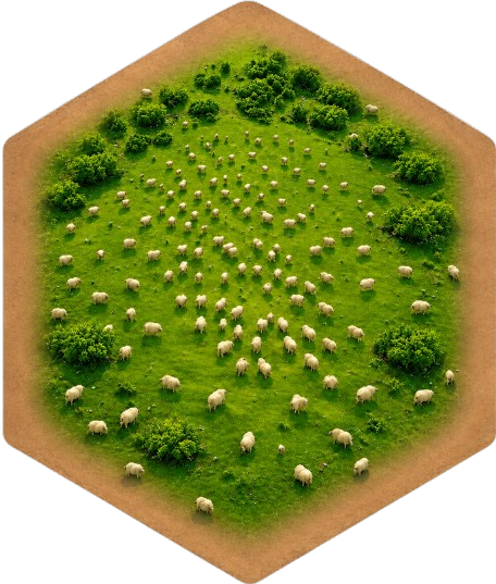 Pasture